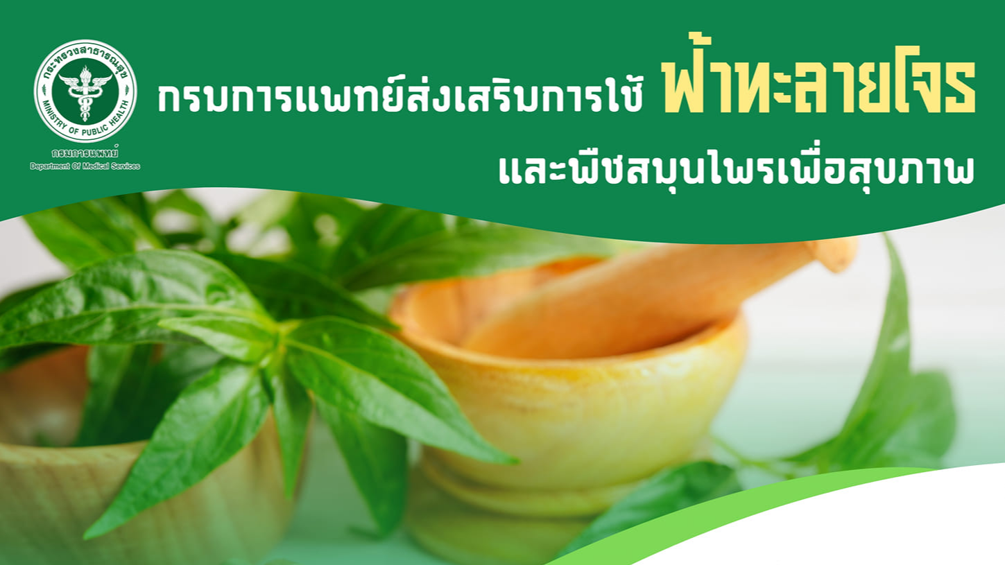 กรมการแพทย์ขานรับนโยบายกระทรวงสาธารณสุขส่งเสริมการใช้ฟ้าทลายโจรและพืชสมุนไพรเพื่อสุขภาพ