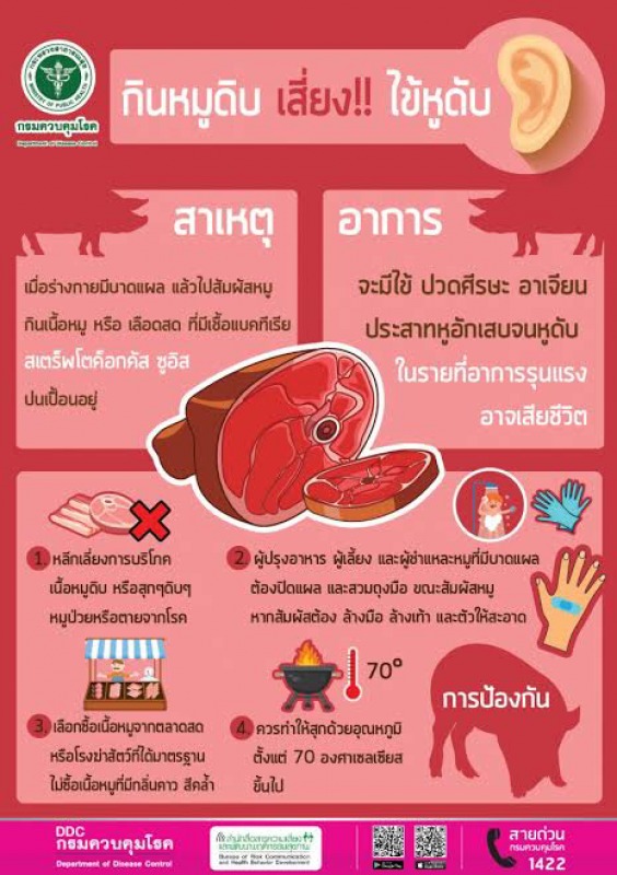 รับประทานหมูดิบ หรือสุกๆดิบๆ  เสี่ยงป่วยด้วยโรคไข้หูดับ