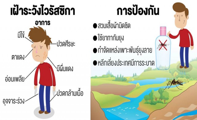 เฝ้าระวัง ซิกา ด้วยตัวเอง สกัดเชื้อโรคแพร่ระบาด