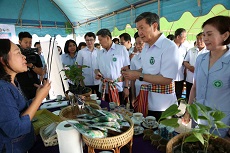 สธ.หนุนพิษณุโลกเป็นเมืองสุขภาพและสมุนไพร ดูแลประชาชนควบคู่แพทย์แผนปัจจุบัน