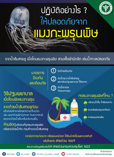 วิธีแก้พิษแมงกะพรุนกล่อง (Box jellyfish)