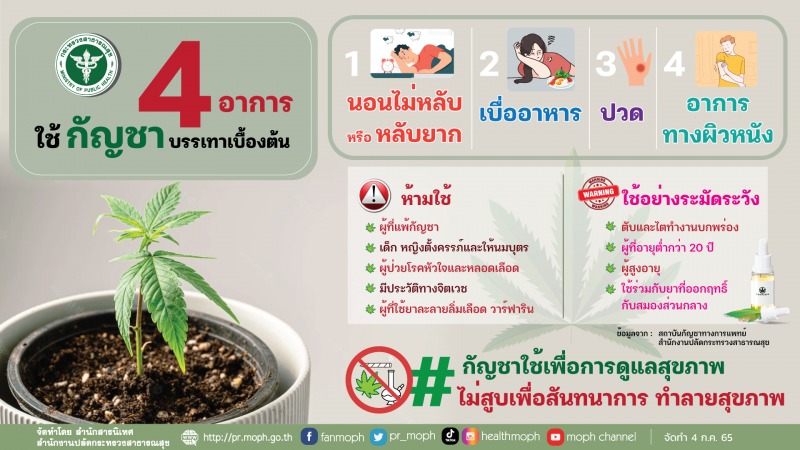 4 อาการ ใช้กัญชาบรรเทาเบื้องต้น #กัญชาใช้เพื่อการดูแลสุขภาพ ไม่สูบเพื่อสันทนาการ ทำลายสุขภาพ