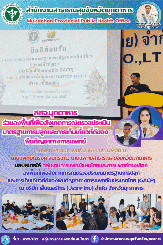 ลงพื้นที่เพื่อสังเกตการณ์ตรวจประเมินมาตรฐานการปลูกและการเก็บเกี่ยวที่ดีของพืชกัญ...